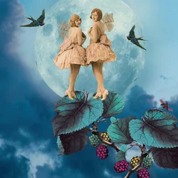 Lune bleue, 2014